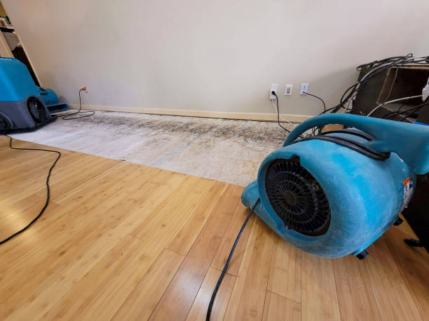 Professional Burst Pipe Water Damage technician working in Pageland, SC